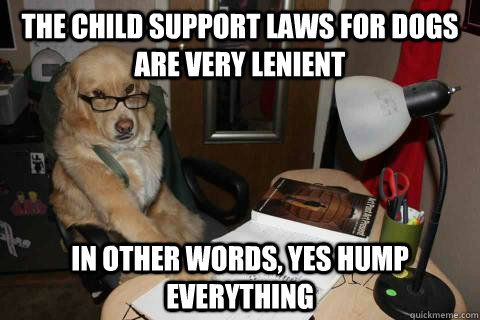 The child support laws for dogs are very lenient in other words, yes hump everything Caption 3 goes here  Financial Advice Dog