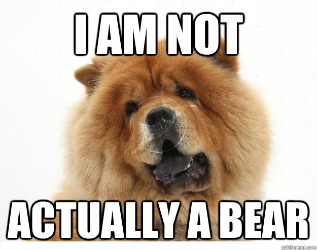 I AM NOT ACTUALLY A BEAR - I AM NOT ACTUALLY A BEAR  CONFESSIONDOG