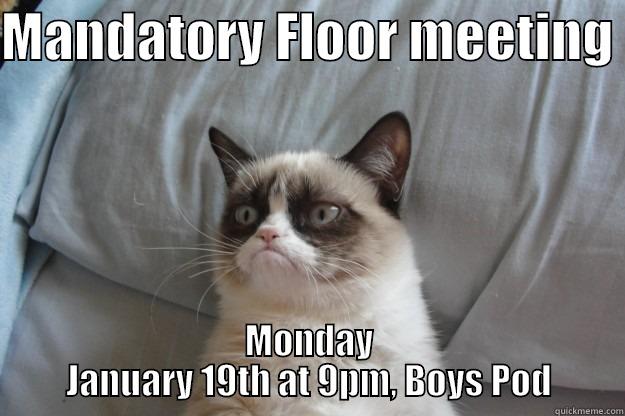 MANDATORY FLOOR MEETING  MONDAY JANUARY 19TH AT 9PM, BOYS POD Grumpy Cat