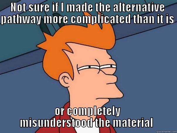 Understanding the Alternative Pathway - NOT SURE IF I MADE THE ALTERNATIVE PATHWAY MORE COMPLICATED THAN IT IS  OR COMPLETELY MISUNDERSTOOD THE MATERIAL  Futurama Fry