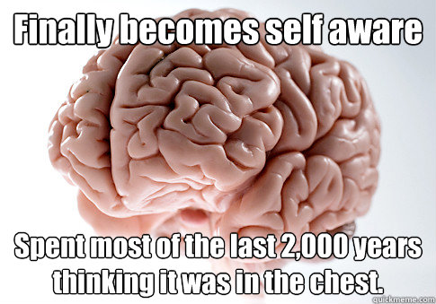 Finally becomes self aware Spent most of the last 2,000 years thinking it was in the chest.  Scumbag Brain