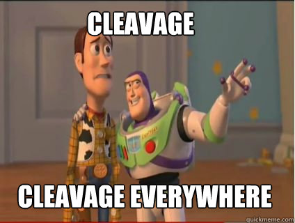 CLEAVAGE CLEAVAGE everywhere  woody and buzz