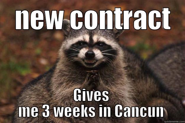 new contract -  NEW CONTRACT GIVES ME 3 WEEKS IN CANCUN Evil Plotting Raccoon