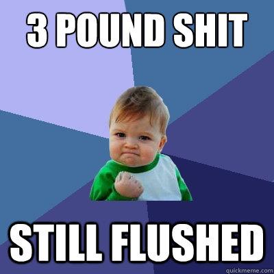 3 pound shit still flushed  Success Kid