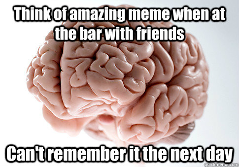 Think of amazing meme when at the bar with friends Can't remember it the next day  Scumbag Brain