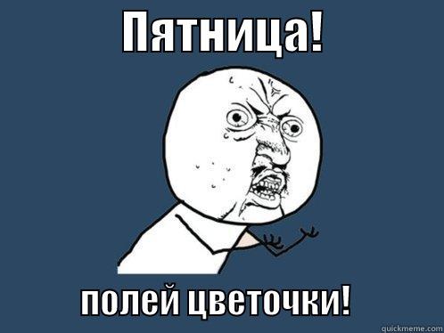              ПЯТНИЦА!                           ПОЛЕЙ ЦВЕТОЧКИ!              Y U No