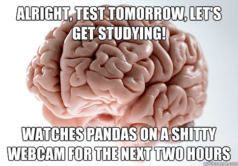 Alright, test tomorrow, let's get studying! Watches pandas on a shitty webcam for the next two hours  Scumbag Brain