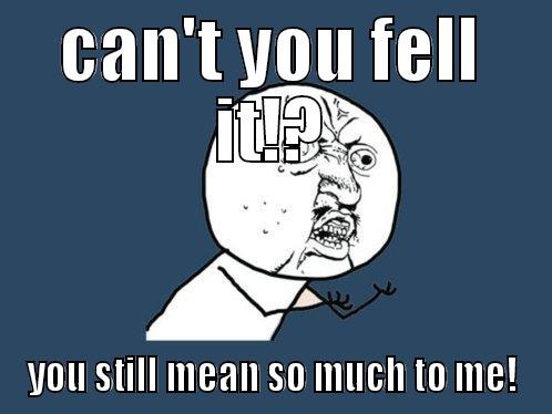 CAN'T YOU FELL IT!? YOU STILL MEAN SO MUCH TO ME! Y U No