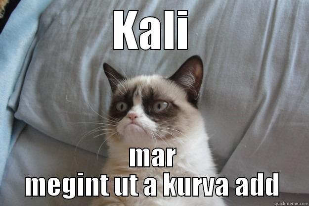 KALI MAR MEGINT UT A KURVA ADD Grumpy Cat