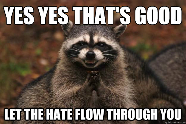 yes yes that's good let the hate flow through you  Evil Plotting Raccoon