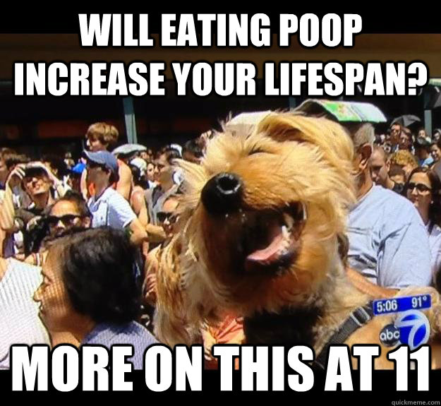 Will eating poop increase your lifespan? More on this at 11 - Will eating poop increase your lifespan? More on this at 11  Reporter Rusty