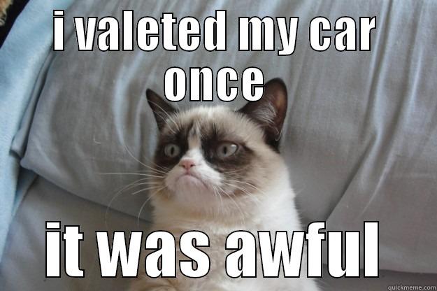 I VALETED MY CAR ONCE IT WAS AWFUL Grumpy Cat