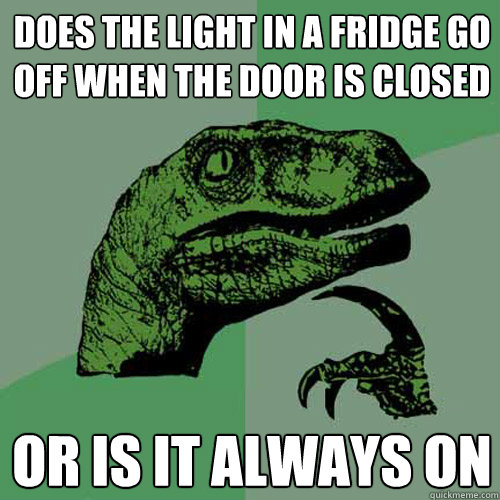 DOES THE LIGHT IN A FRIDGE GO OFF WHEN THE DOOR IS CLOSED OR IS IT ALWAYS ON - DOES THE LIGHT IN A FRIDGE GO OFF WHEN THE DOOR IS CLOSED OR IS IT ALWAYS ON  Philosoraptor