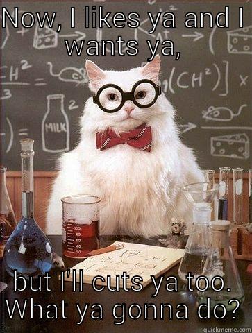 NOW, I LIKES YA AND I WANTS YA, BUT I'LL CUTS YA TOO. WHAT YA GONNA DO? Chemistry Cat