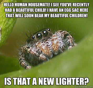 Hello human housemate! I see you've recently had a beautiful child! I have an egg sac here that will soon bear my beautiful children! is that a new lighter?  