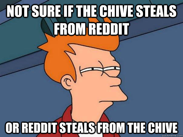 Not sure if the Chive steals from Reddit or Reddit steals from the Chive  Futurama Fry