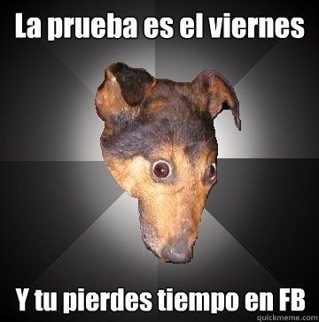 La prueba es el viernes Y tu pierdes tiempo en FB  Depression Dog