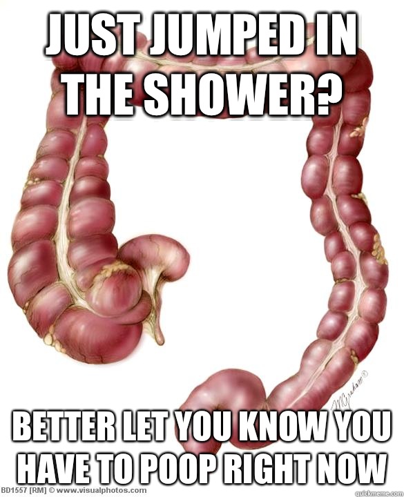 Just jumped in the shower? Better let you know you have to poop right now  scumbag large intestine