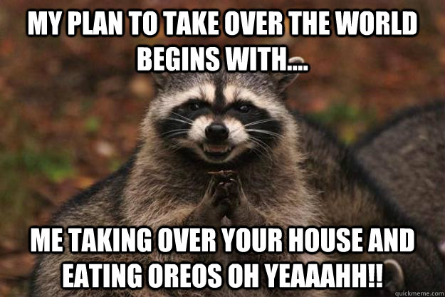 My plan to take over the world begins with.... me taking over your house and eating oreos oh yeaaahh!!  - My plan to take over the world begins with.... me taking over your house and eating oreos oh yeaaahh!!   Evil Plotting Raccoon