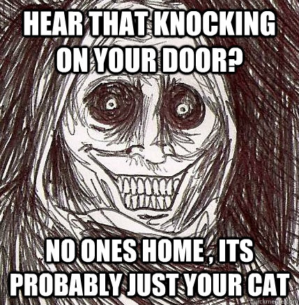 hear that knocking on your door? no ones home , its probably just your cat  Horrifying Houseguest