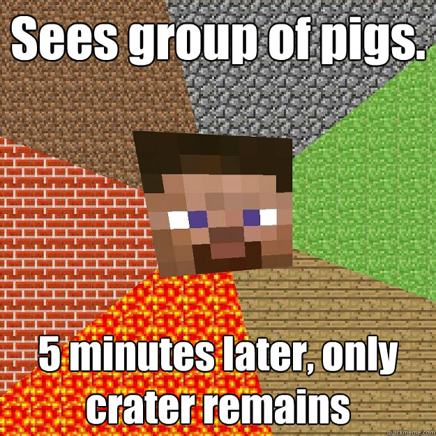 Sees group of pigs. 5 minutes later, only crater remains  Minecraft