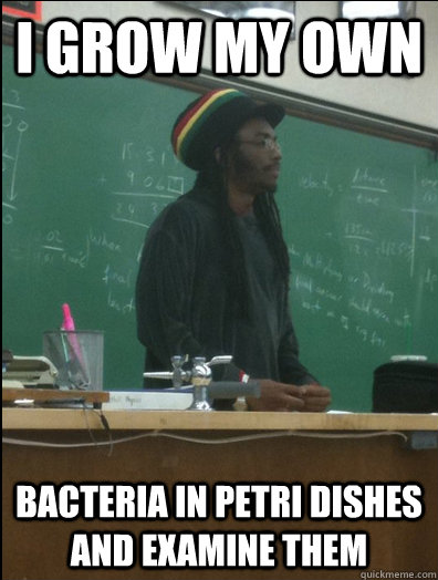 I grow my own bacteria in petri dishes and examine them  Rasta Science Teacher