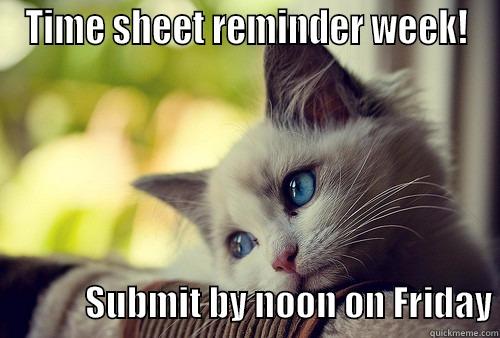 Time sheet reminder week! - TIME SHEET REMINDER WEEK!                      SUBMIT BY NOON ON FRIDAY First World Problems Cat