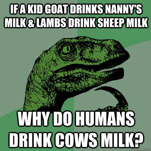 If a kid goat drinks nanny's milk & lambs drink sheep milk Why do humans drink cows milk? - If a kid goat drinks nanny's milk & lambs drink sheep milk Why do humans drink cows milk?  Philosoraptor