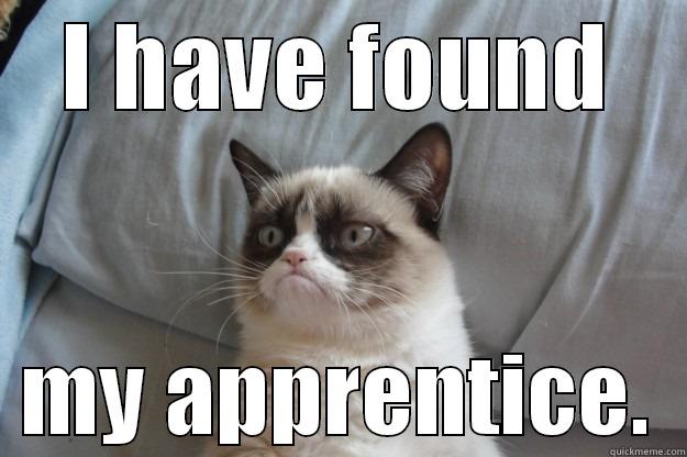 I HAVE FOUND   MY APPRENTICE.  Grumpy Cat