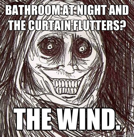 Bathroom at night and the Curtain Flutters? The Wind.  Horrifying Houseguest