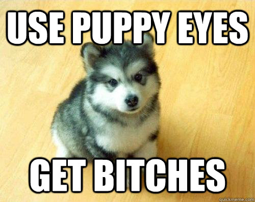 Use puppy eyes get bitches  Baby Courage Wolf