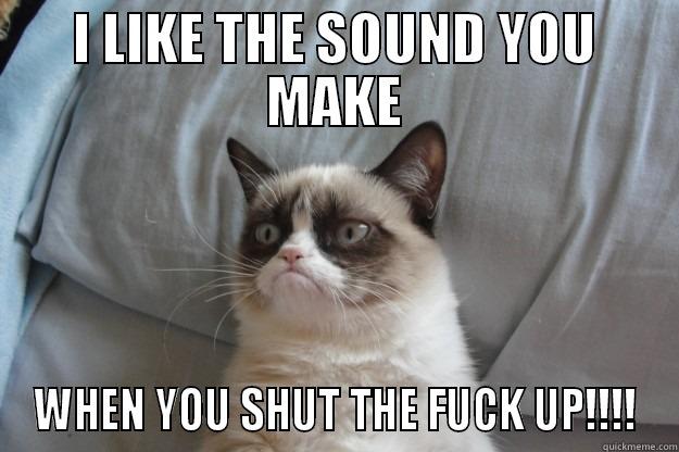 I LIKE THE SOUND YOU MAKE WHEN YOU SHUT THE FUCK UP!!!! Grumpy Cat