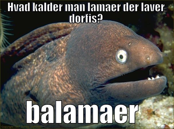 HVAD KALDER MAN LAMAER DER LAVER DØRFIS? BALAMAER  Bad Joke Eel