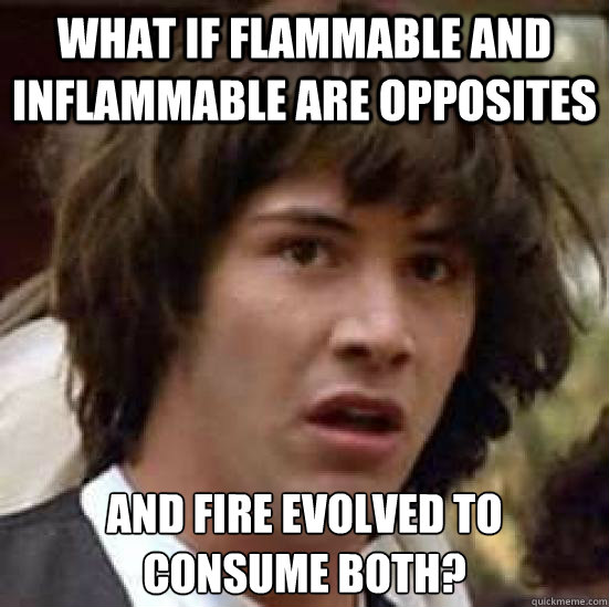 What if flammable and inflammable are opposites and fire evolved to consume both? - What if flammable and inflammable are opposites and fire evolved to consume both?  conspiracy keanu