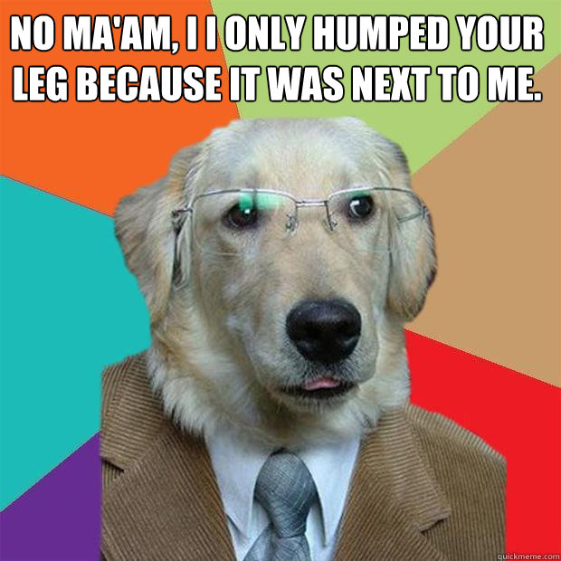 No ma'am, I I only humped your leg because it was next to me.   Business Dog