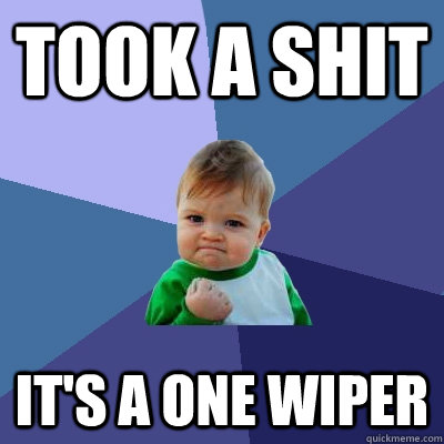 took a shit it's a one wiper  Success Kid