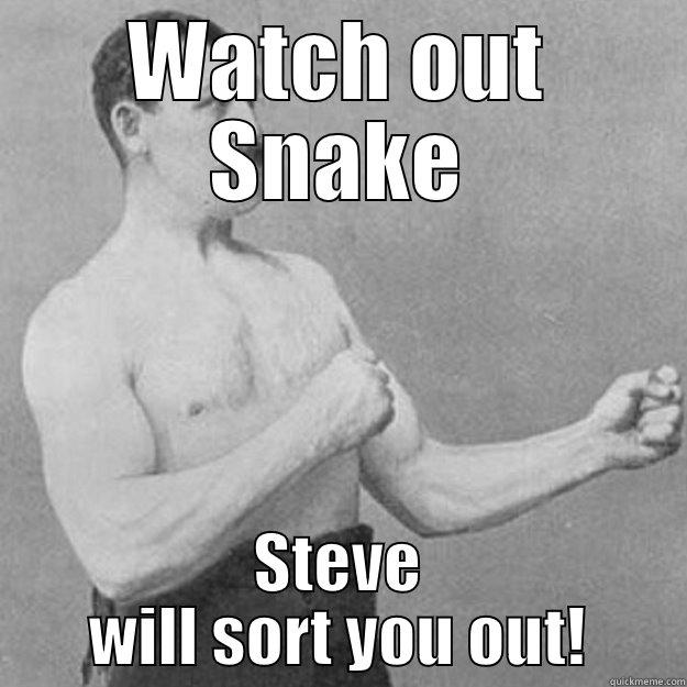 WATCH OUT SNAKE STEVE WILL SORT YOU OUT! overly manly man