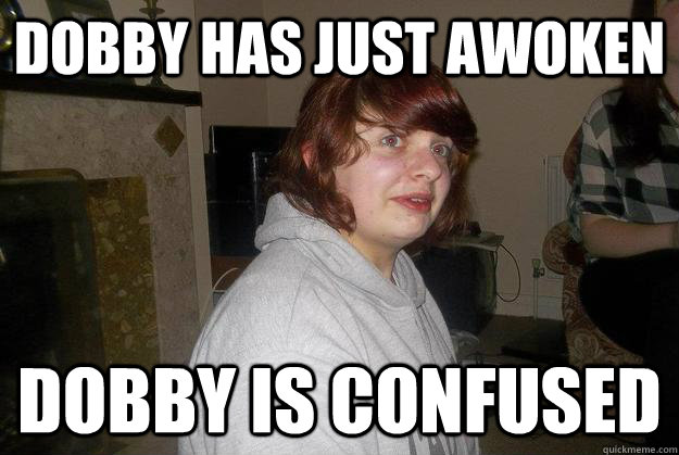 DOBBY HAS JUST AWOKEN DOBBY IS CONFUSED  - DOBBY HAS JUST AWOKEN DOBBY IS CONFUSED   dobbix