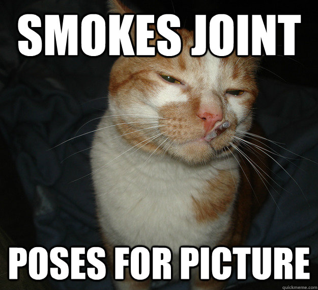 Smokes Joint Poses for picture - Smokes Joint Poses for picture  Cool Cat Craig