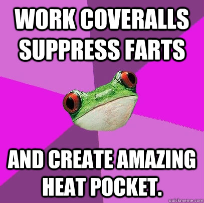 Work coveralls suppress farts and create amazing heat pocket. - Work coveralls suppress farts and create amazing heat pocket.  Foul Bachelorette Frog