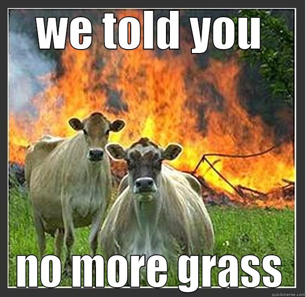 they told you - WE TOLD YOU NO MORE GRASS Evil cows