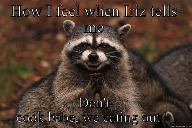 Suck me - HOW I FEEL WHEN IRIZ TELLS ME DON'T COOK BABE, WE EATING OUT !  Evil Plotting Raccoon