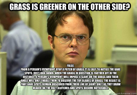 Grass is greener on the other side? FALSE.  
From a person’s viewpoint atop a patch of grass it is easy to notice the bare spots. Just look down. When the grass in question is farther off in the distance, a person’s viewpoint will impose a sla  Schrute