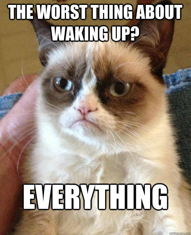 the worst thing about waking up? everything - the worst thing about waking up? everything  Grumpy Cat