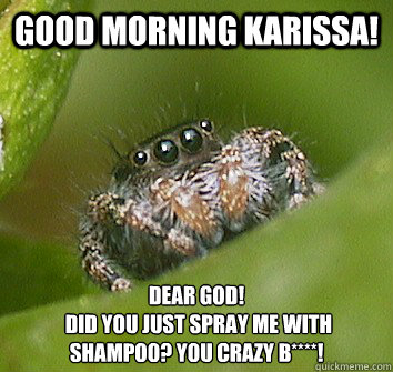 Good morning Karissa! dear god!
 did you just spray me with shampoo? you crazy b****!  Misunderstood Spider