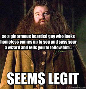 so a ginormous bearded guy who looks homeless comes up to you and says your a wizard and tells you to follow him... SEEMS LEGIT - so a ginormous bearded guy who looks homeless comes up to you and says your a wizard and tells you to follow him... SEEMS LEGIT  Hagrid