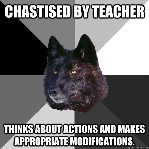 Chastised by teacher thinks about actions and makes appropriate modifications.  Sanity Wolf