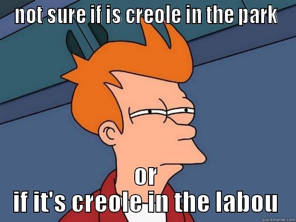 NOT SURE IF IS CREOLE IN THE PARK OR IF IT'S CREOLE IN THE LABOU Futurama Fry