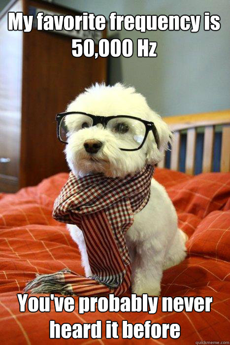 My favorite frequency is 50,000 Hz You've probably never heard it before - My favorite frequency is 50,000 Hz You've probably never heard it before  Hipster Dog