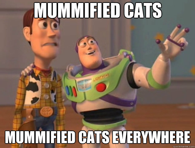 Mummified Cats Mummified Cats everywhere  Toy Story